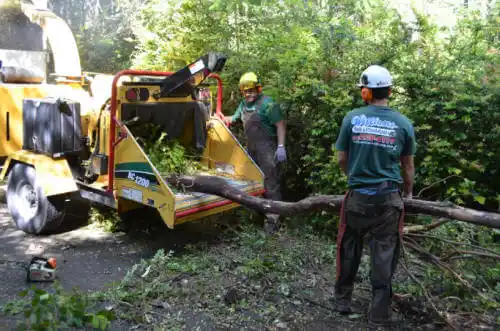 tree services Chalmers